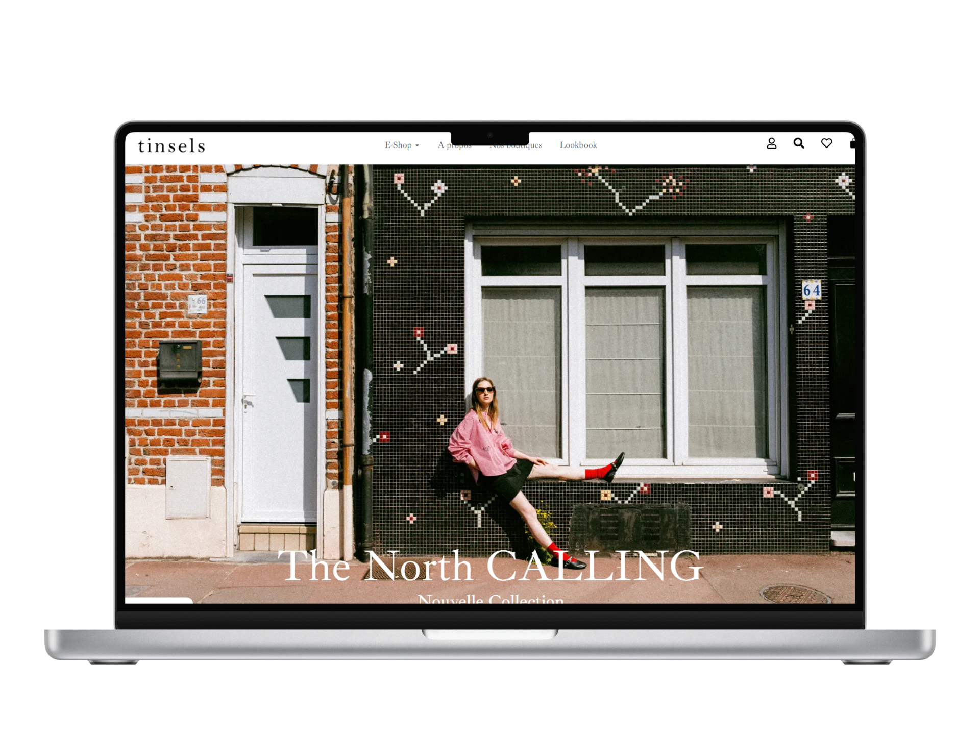création de site web tinsels